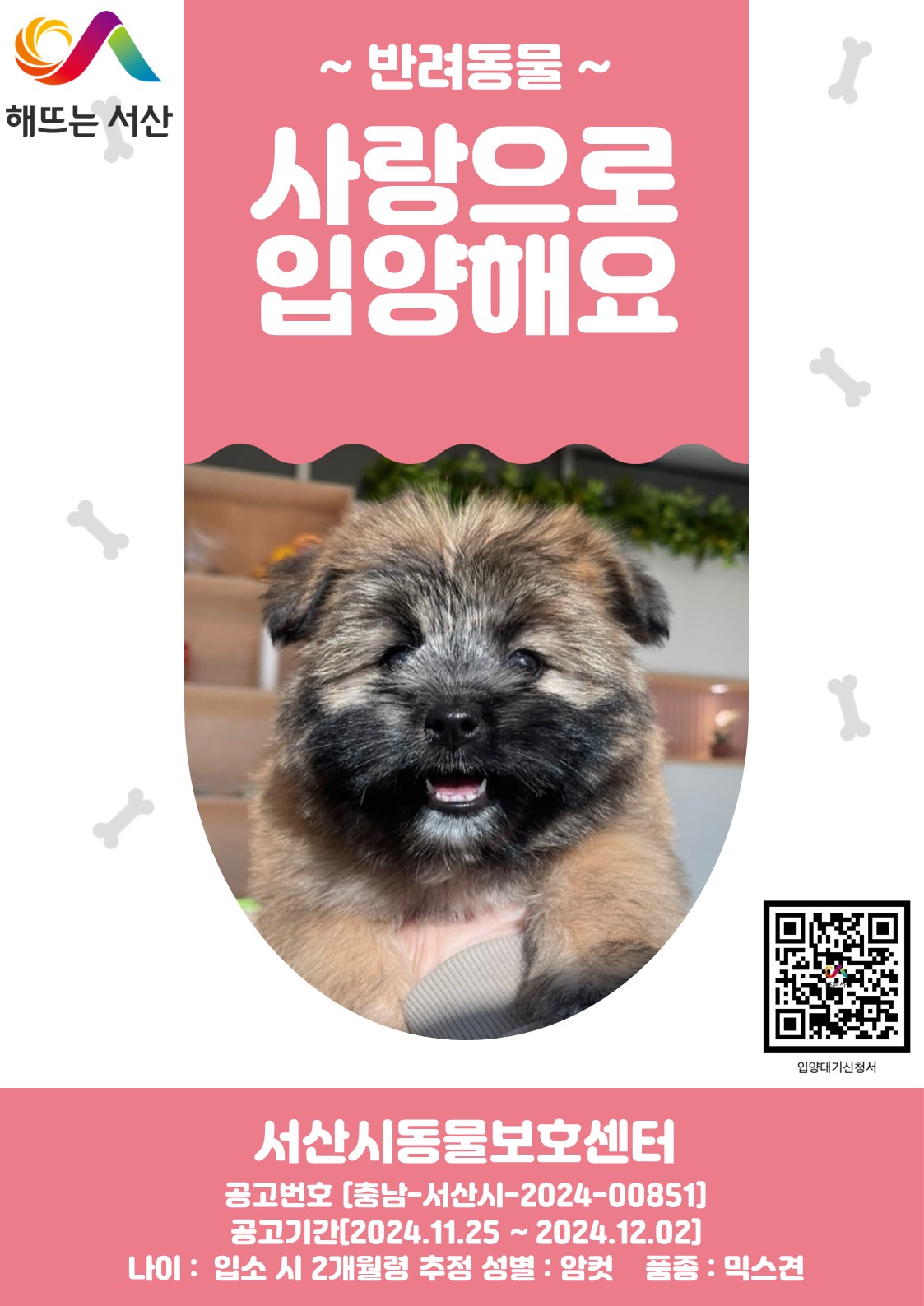 서산시 동물보호센터_444453202401615
